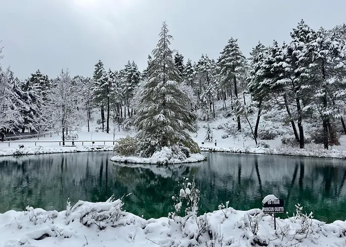Casa Rural Campanilla